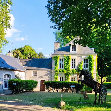 Chambres D'Hotes Du Domaine De L'Isle Civray-de-Touraine Екстер'єр фото